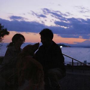 阴影黄片日逼的
