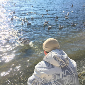 阴影黄片日逼的
